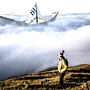 Mi proyecto del curso: Fotomontaje surrealista con Photoshop. Een project van Fotografische postproductie, Retoucheren van foto's, Digitale fotografie, Fotografische compositie y Fotomontage van Javier villaman - 16.07.2023