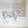 Mi proyecto del curso: Bos taurus. Projekt z dziedziny Trad, c, jna ilustracja, R, sunek ołówkiem,  R, sunek,  R, sunek art, st, czn, Ilustracja naturalist, czna, R i sowanie kredkami użytkownika Manuel Jesús Palacios Benavente - 28.07.2023