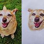 My project for course: Pet Portraits in Colored Pencils. Een project van Traditionele illustratie y Naturalistische illustratie van Zoe Pasca - 17.09.2023