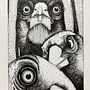 My project for course: Realistic Illustration of Birds with Imaginative Elements. Un proyecto de Dibujo a lápiz, Dibujo, Ilustración con tinta e Ilustración naturalista				 de Wendy Annal - 23.09.2023