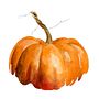Pumpkin Pillow  Ein Projekt aus dem Bereich Traditionelle Illustration, Motion Graphics, Animation, 2-D-Animation, Digitale Illustration und Animierte Illustration von designsbynikolai - 27.09.2023