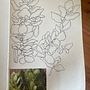 My project for course: Botanical Sketchbooking: A Meditative Approach Ein Projekt aus dem Bereich Traditionelle Illustration, Skizzenentwurf, Zeichnung, Aquarellmalerei, Botanische Illustration und Sketchbook von Hayley Humphreys - 31.10.2023