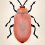 My project for course: Scientific Illustration for Pattern Design. Un progetto di Illustrazione tradizionale, Pattern design, Illustrazione digitale e Illustrazione naturalistica di Sauvit Patil - 24.11.2023