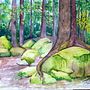 Mein Abschlussprojekt für den Kurs: Realistische Landschaften in Aquarell malen. Projekt z dziedziny  Sztuki piękne,  Malarstwo, Sketching, Malowanie akwarelą, Ilustracja naturalist i czna użytkownika heidrunknoch - 24.12.2023