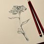 My project for course: Contemporary Botanical Illustration with Ink Ein Projekt aus dem Bereich Traditionelle Illustration, Artistische Zeichnung, Botanische Illustration und Illustration mit Tinte von Wendy Violet Sinden - 06.01.2024