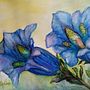 Il mio progetto del corso: Illustrazione botanica con acquerello. Un projet de Illustration traditionnelle, Beaux Arts, Peinture, Dessin, Aquarelle et Illustration botanique de Floriana Prattichizzo - 08.01.2024