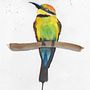 Rainbow Bee Eater - I took the photograph and then painted it with watercolours and coloured pencils. Photograph project by Cathy Clark - 11.16.2021