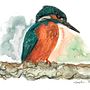 My project for course: Artistic Watercolor Techniques for Illustrating Birds . % Chansu Shin tarafından hazırlanan Geleneksel illüstras, on, Sulubo, a Resim, Gerçekçi Çizim, Doğalcı İllüstras, Ve on projesi - 04.12.2023