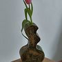 My project for course: Creating Ceramics with the Slab Technique. Accessor, Design, Arts, Crafts, Decoration, Ceramics, and DIY project by Dovilė Rugienė - 03.04.2024