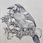 Mi proyecto del curso: Ilustración naturalista con bolígrafo. Een project van Traditionele illustratie,  Tekening, Realistische tekening y Naturalistische illustratie van joaquindiez_bcn - 14.03.2024