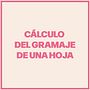 Cálculo del gramaje de una hoja. Un progetto di Design, Educazione, Graphic design e Social media di Aina Beltrán - 23.02.2024