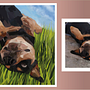Mi proyecto del curso: Creación de caricaturas con Infinite Painter. Een project van Traditionele illustratie y Digitale illustratie van Lourdes Diaz - 23.03.2024