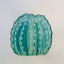 Sketchbook botánico: una aproximación meditativa, Tulipán, Suculenta y Cactus. Un proyecto de Ilustración tradicional, Bocetado, Dibujo, Pintura a la acuarela, Ilustración botánica y Sketchbook de Beatriz Garcia - 12.03.2024