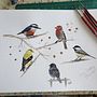 Spring Symphony - Junco's Choir - course project Bird Illustrations with Sarah Stokes . Lukisan Cat Air proyek oleh Gina - 04.02.2024