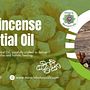 Buy Pure Frankincense Essential Oils. Un proyecto de Publicidad, Marketing y Business de Miracle Botanicals Essential Oils - 05.04.2024