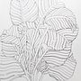 Line drawing of a prayer plant . Ilustrasi tradisional proyek oleh Claudia Smaletz - 04.04.2024