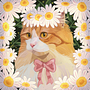 Cat and daisies flowers . Digital Illustration, and Naturalistic Illustration project by Barbi - 04.11.2024