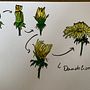 My project for course: Botanical Illustration: From Notebook to Print. Un projet de Illustration traditionnelle, Esquisse , Dessin, Illustration botanique, Carnet de croquis et Illustration à l'encre de nagyae99 - 19.04.2024