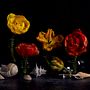 Tulips and Shells. Un projet de Photographie de Catherine Bearce - 26.04.2024