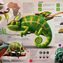 Meu projeto do curso: Criação de infográficos: Na minha terra chama calango, mas é popularmente conhecido como camaleão. Un projet de Design graphique, Design de l'information, Infographie , et Conception d'affiches de Daniel Menezes - 16.05.2024