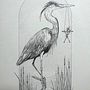 My project for course: Realistic Illustration of Birds with Imaginative Elements. Projekt z dziedziny Rysunek ołówkiem,  Rysunek,  Rysunek atramentem i Ilustracja naturalistyczna użytkownika tsyganochka - 19.05.2024