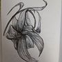Il mio progetto del corso: Illustrazione su sketchbook con penna: sbaglia con stile. Un proyecto de Bocetado, Dibujo, Sketchbook e Ilustración con tinta de valentina_mascaro - 29.05.2024
