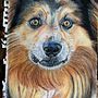 Mi proyecto del curso: Retratos de Mascotas en Lápices de Colores. Ilustração tradicional e Ilustração naturalista projeto de lauraruli029 - 30.05.2024