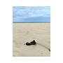 My project for course: Travel Photography with Mobile Phone for Beginners. Un proyecto de Fotografía con móviles, Fotografía en exteriores, Fotografía para Instagram y Fotografía de Bruna Felice - 30.05.2024