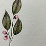 My project for course: Botanical Illustration with Watercolors. Een project van Traditionele illustratie,  Beeldende kunst, Schilderij,  Tekening, Aquarelschilderen y  Botanische illustratie van Fernanda Cizescki - 17.06.2024