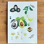 Botanical Avocado Painting. Projekt z dziedziny Trad, c, jna ilustracja i Craft użytkownika Analia Magu - 15.07.2024