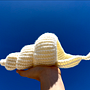 Caracola. Crochet project by Lina Vallejo De los Ríos - 08.12.2024