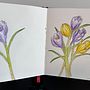 My project for course: Illustrating Nature with Watercolor and Pen . % Deb Thompson tarafından hazırlanan Geleneksel illüstrasyon, Güzel sanatlar, Tablo, Çizim, Suluboya Resim, Ve Botanik İllüstrasyon projesi - 09.01.2024