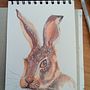 Mi proyecto del curso: Técnicas experimentales de acuarela para principiantes. Een project van Traditionele illustratie,  Beeldende kunst, Aquarelschilderen y Naturalistische illustratie van bogueal - 21.09.2024