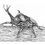 Japanese Rhinoceros Beetle. Desenho, Desenho realista, Ilustração tradicional e Ilustração com tinta projeto de Ella - 03.05.2024