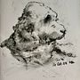 My project for course: Animal Illustration with Charcoal and Ink. Projekt z dziedziny  Sztuki piękne,  Rysunek,  Rysunek atramentem i Ilustracja naturalistyczna użytkownika Rhonda Langham - 22.10.2024