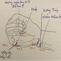  Anatomische Zeichnung um Akupunktur zu verstehen. Artistic Drawing, Drawing, Figure Drawing, Fine Arts, Ink Illustration, Pencil Drawing, Portrait Drawing, Realistic Drawing, Sketchbook, and Sketching project by tuhathanh2000 - 11.07.2024