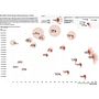 My project for course: Data Visualization and Information Design: Create a Visual Model . Proiectarea informațiilor, Design interactiv & Infografice de Valeria Gonzalez - 11.22.2024