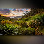 Plantas nativas de Costa Rica. Een project van Kunstmatige Intelligentie y AI Ontwerp van tv645066 - 26.11.2024
