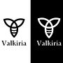 Valkiria Hidromiel. Br, ing, Identit, Design, Logo Design, and Graphic Design project by Angel Zaid Rojas Cano - 01.16.2025