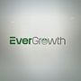 EverGrowth . % aldo_molina220202 tarafından hazırlanan İçerik Pazarlaması, Dijital Pazarlama, Facebook Pazarlama, Bü, üme Pazarlaması, Instagram Pazarlaması, Pazarlama, Mobil Pazarlama, Sos, al Med, Ve a projesi - 01.17.2025