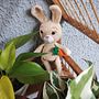 Um coelhinho com sua cenoura, não quer guerra com ninguém.. Un proyecto de Amigurumi, Crochet, DIY, Tejido, Diseño textil y Diseño de juguetes de Adriana Sanches - 25.01.2025