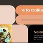 Web de VitaColibri. CSS, HTML, JavaScript, Web Design, Web Development, and Programming project by Isabel fry - 01.29.2025