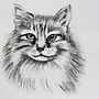 Cat . Arte plastice, Desen, Ilustrație cu cerneală & Ilustrație naturalistă de leilashtari - 01.30.2025