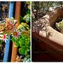 Un lugar para descubrir . Arhitectură peisagistică, Design floral și de plante și Design spațial de Guadalupe Herrera - 03.25.2025