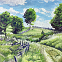 Final Project Oil Painting: Painting a landscape. Fine Arts, Painting, and Oil Painting project by Julia Dommershuijzen - 03.27.2025