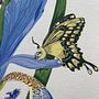 Bestuiven. Een project van Traditionele illustratie, Digitale illustratie,  Tekening, Naturalistische illustratie,  Botanische illustratie y Schilderen met gouache van L Magallanes - 15.04.2025