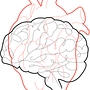 Cerebro y corazon . % Alexander López tarafından hazırlanan Dijital İllüstras, Ve on projesi - 05.04.2025
