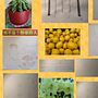 My mosaic of different work . Un projet de Dessin, Dessin au cra, on, Design  et Illustration traditionnelle de Anastasia Zamay - 20.05.2025