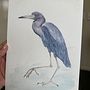 De boa na lagoa. Projekt z dziedziny R, sunek realist, czn, Trad, c, jna ilustracja, Malowanie akwarelą, Ilustracja naturalist i czna użytkownika Viviane Filgueiras - 26.07.2025