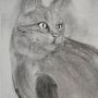 Kitty. Un projet de Beaux Arts, Dessin, Dessin de portrait et Illustration naturaliste de Hughena Anstey - 22.08.2025